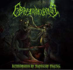 Ectosimbiosis en Transicion Fractal